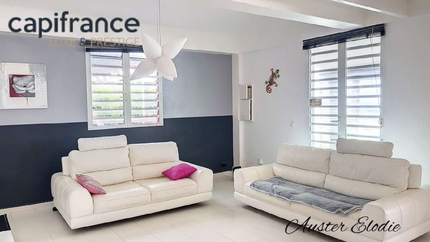  à vendre villa Le Moule Guadeloupe 2