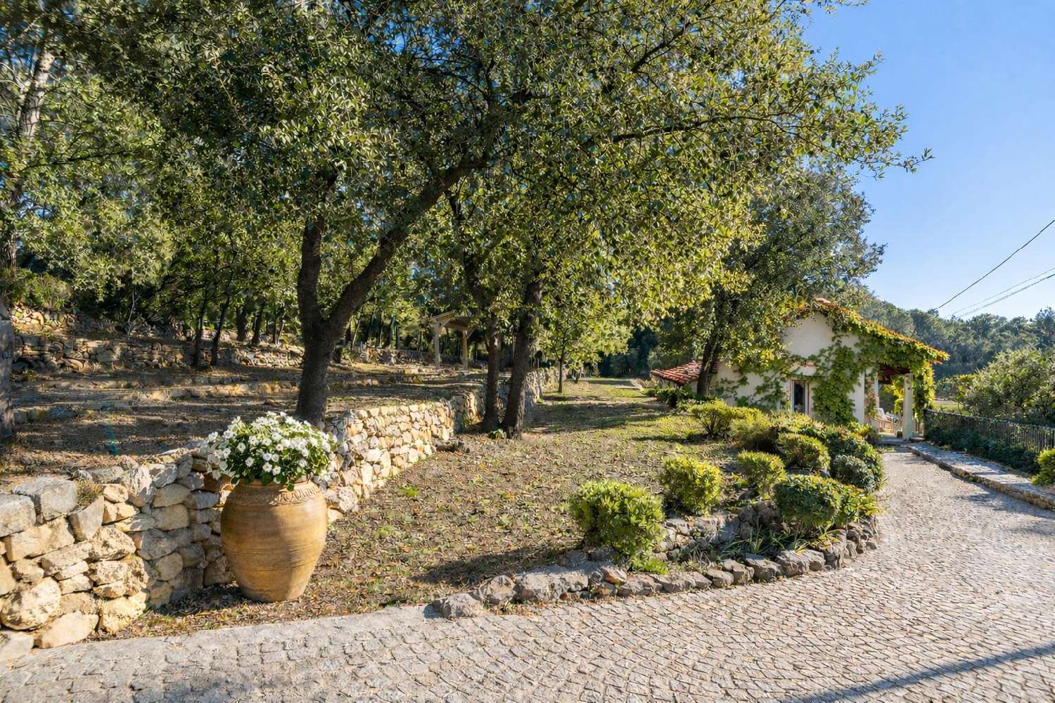  kaufen Villa Lorgues Var 6