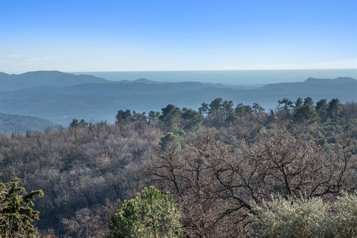  kaufen Villa Mons Var 7