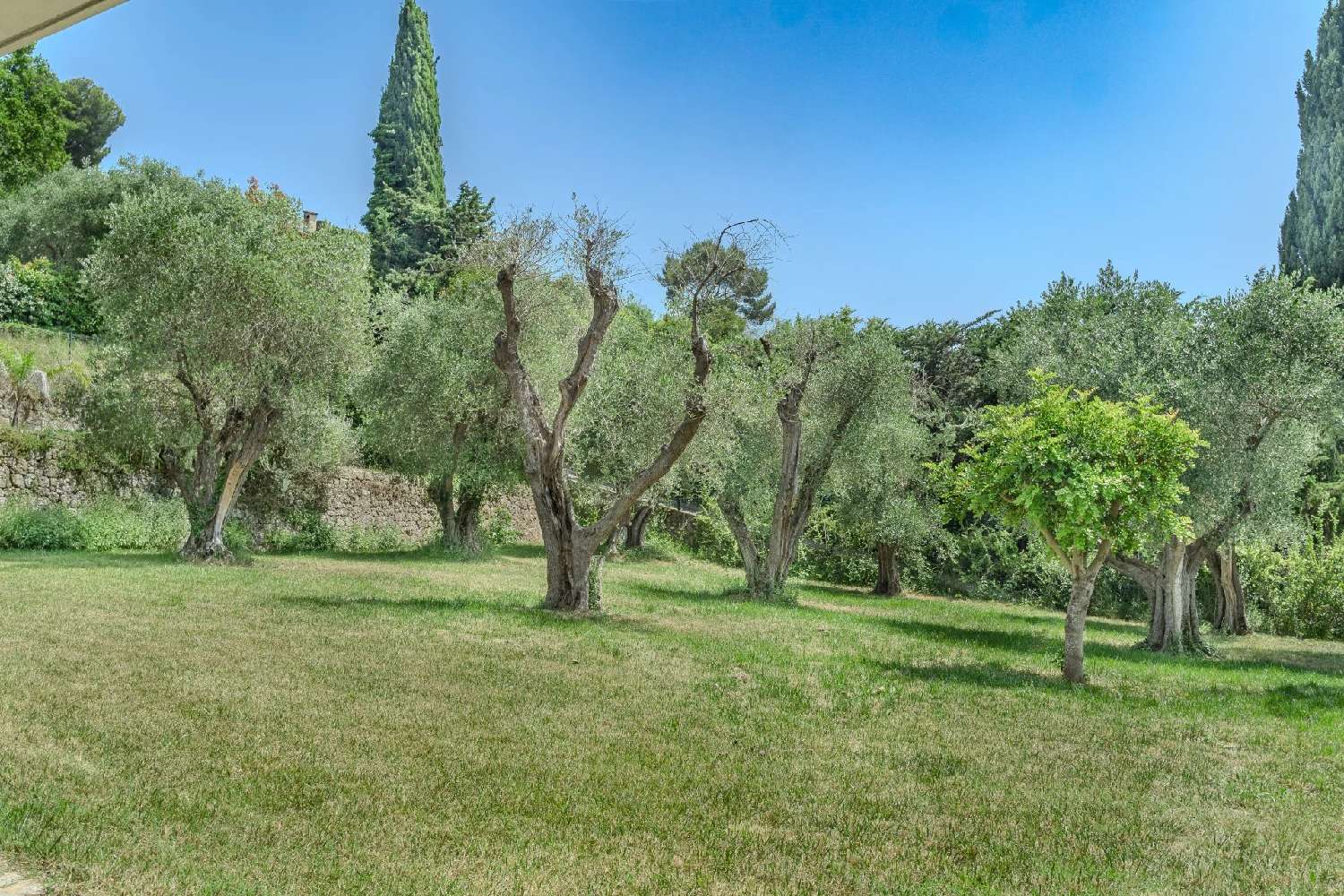  kaufen Villa Mougins Alpes-Maritimes 8