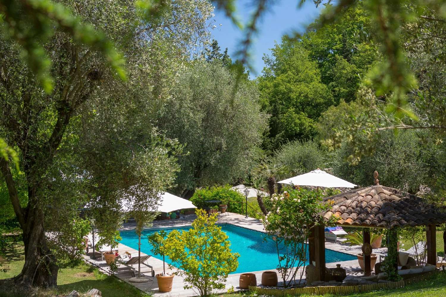  kaufen Villa Opio Alpes-Maritimes 8