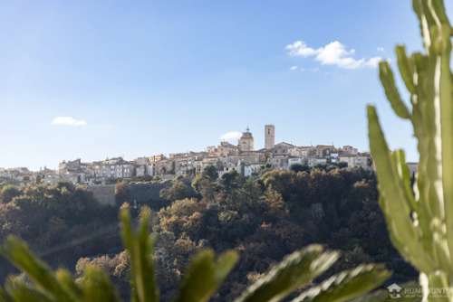 Saint-Paul Alpes-Maritimes villa foto 7241497