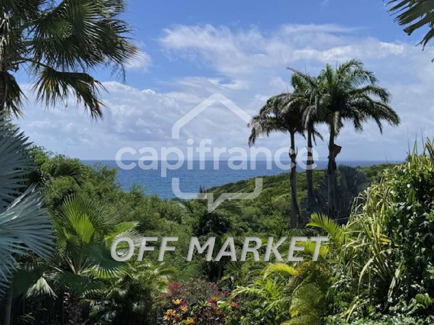  te koop villa Sainte-Anne Guadeloupe 1