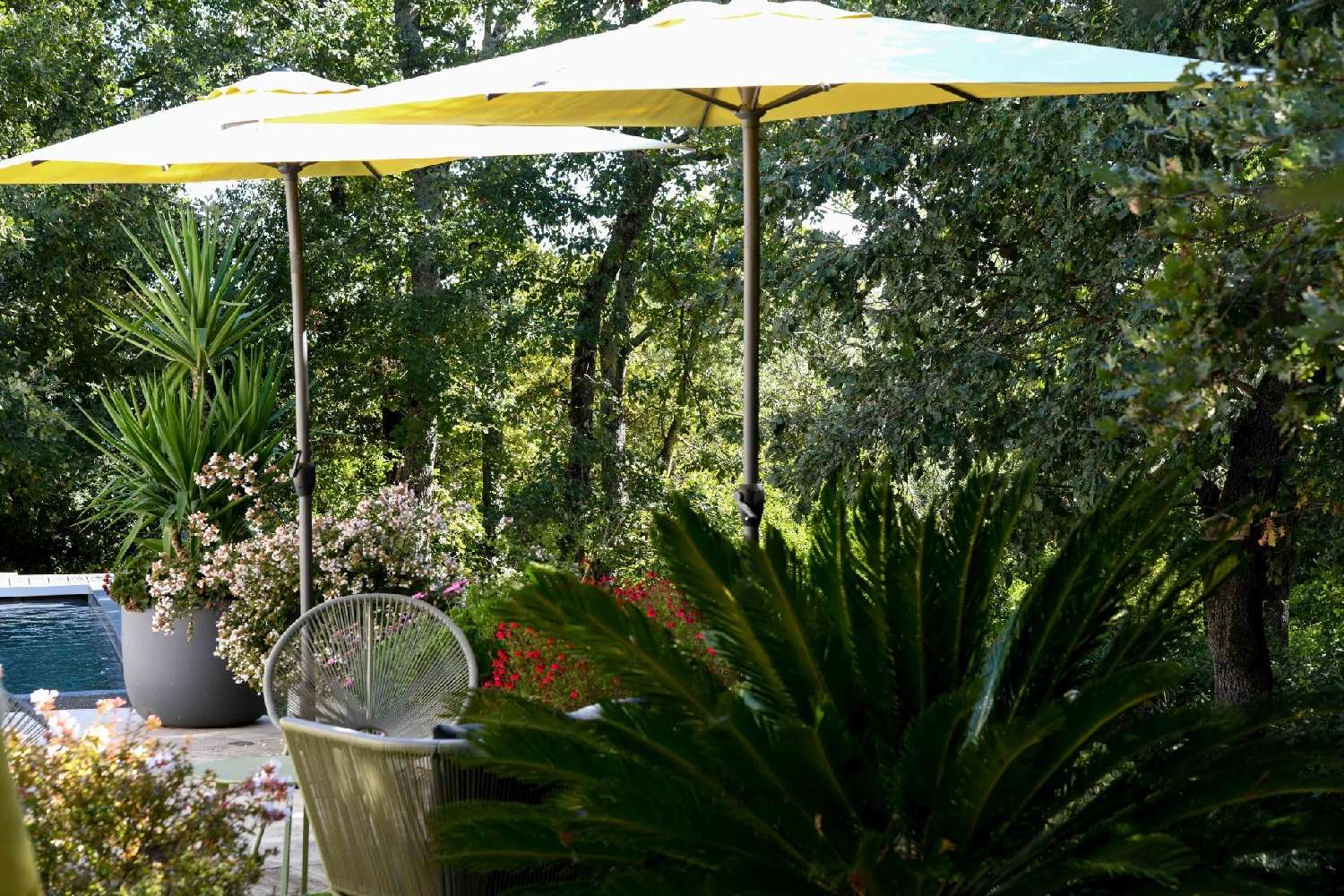  kaufen Villa Uzès Gard 6