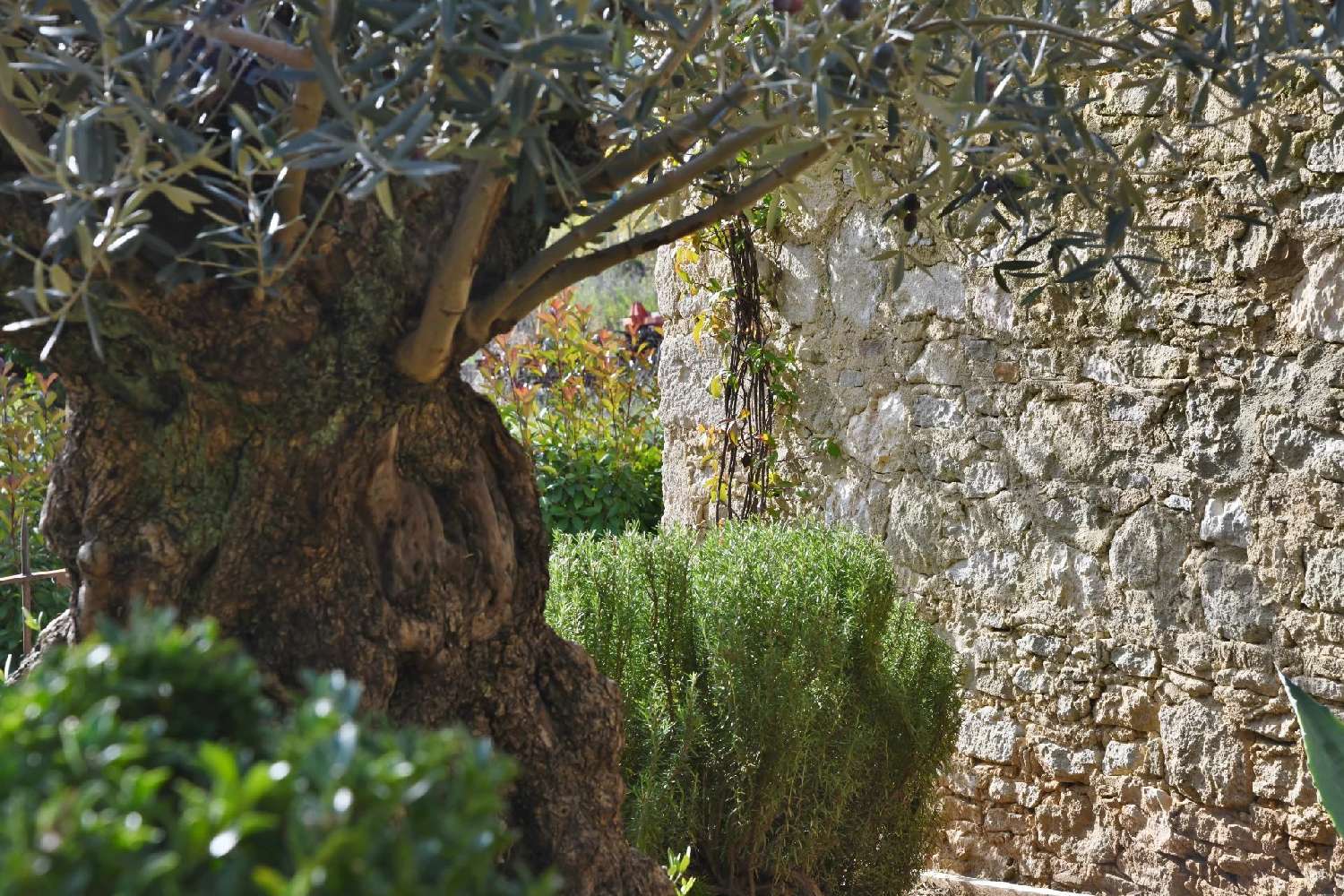  for sale villa Uzès Gard 7