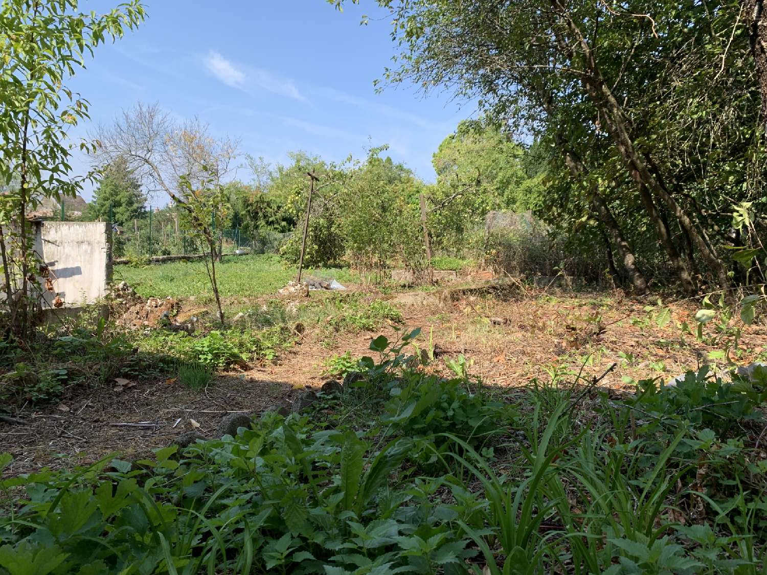 à vendre maison de village Chassigny Haute-Marne 8