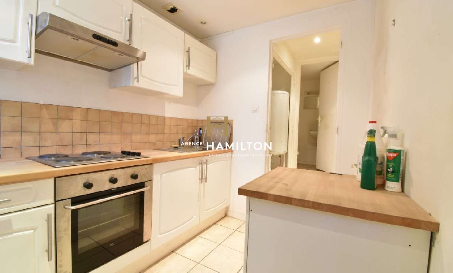  for sale village house Cordes-Sur-Ciel Tarn 4