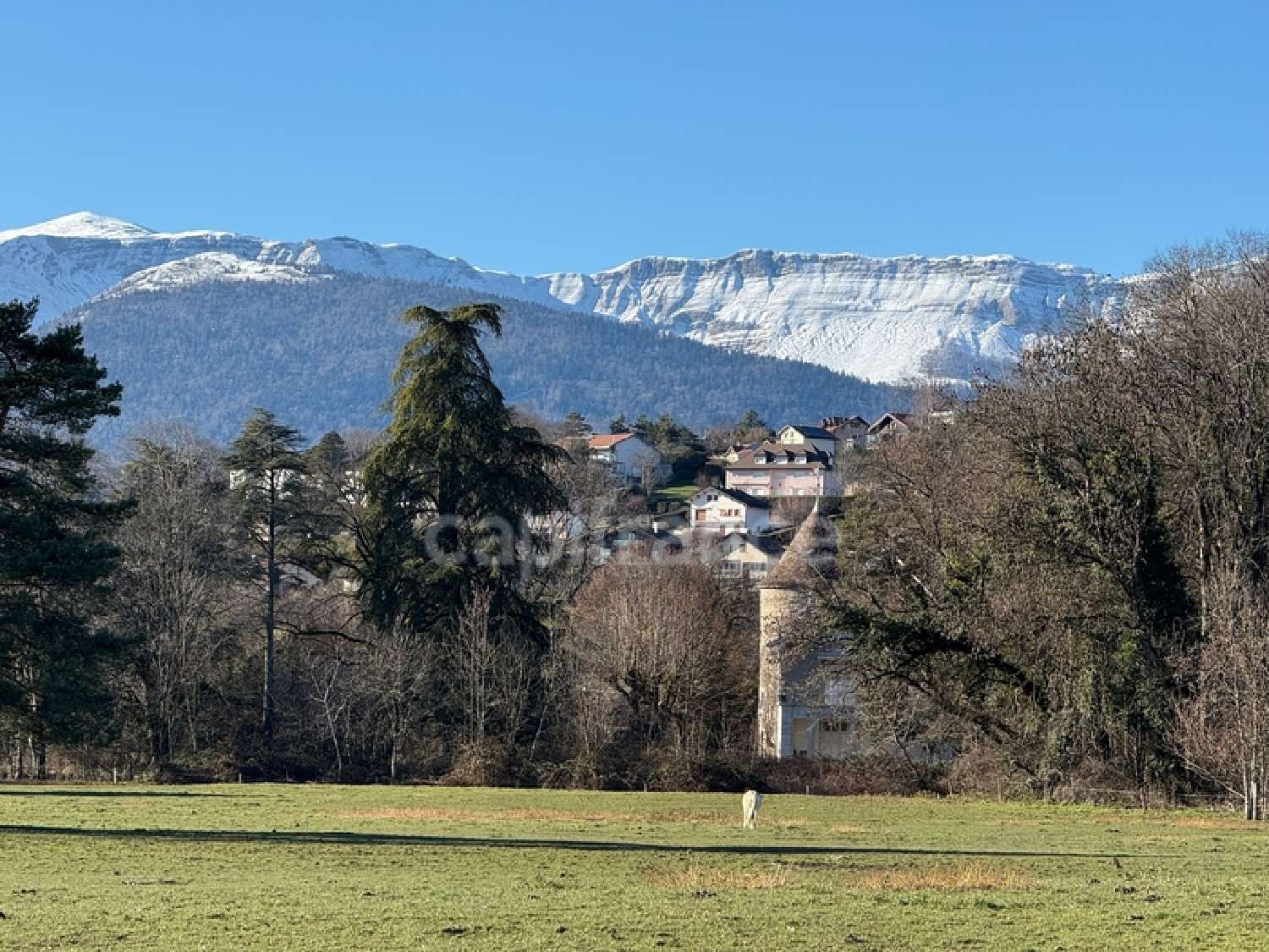  te koop dorpshuis Grilly Ain 1