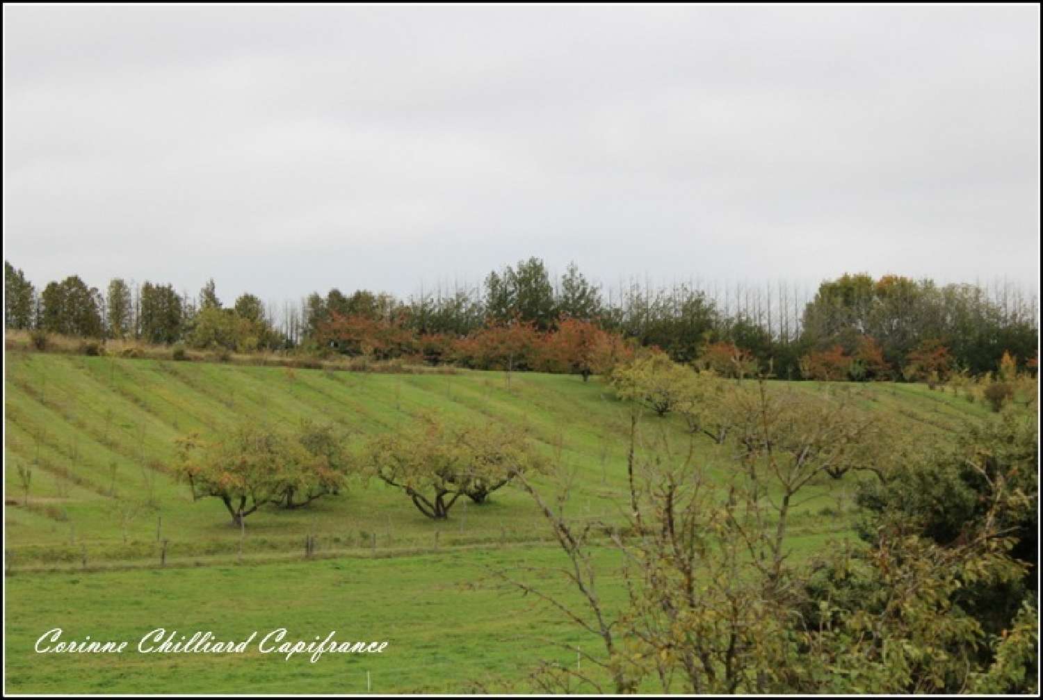  à vendre maison de village Harville Meuse 2