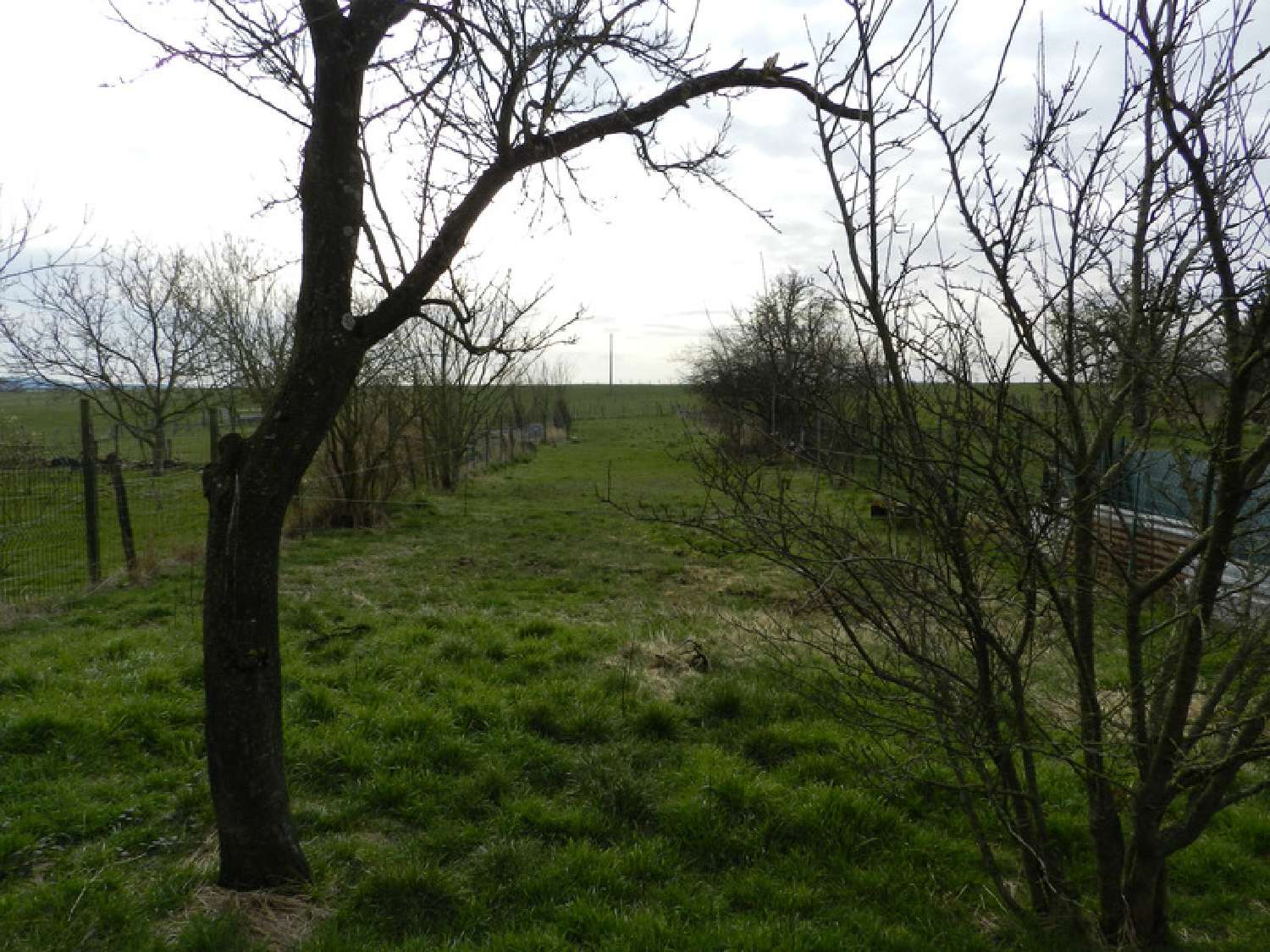 kaufen Dorfhaus Lhor Moselle 8