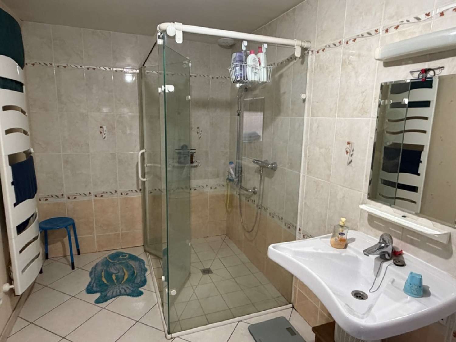 te koop dorpshuis Saint-Dizier Haute-Marne 8