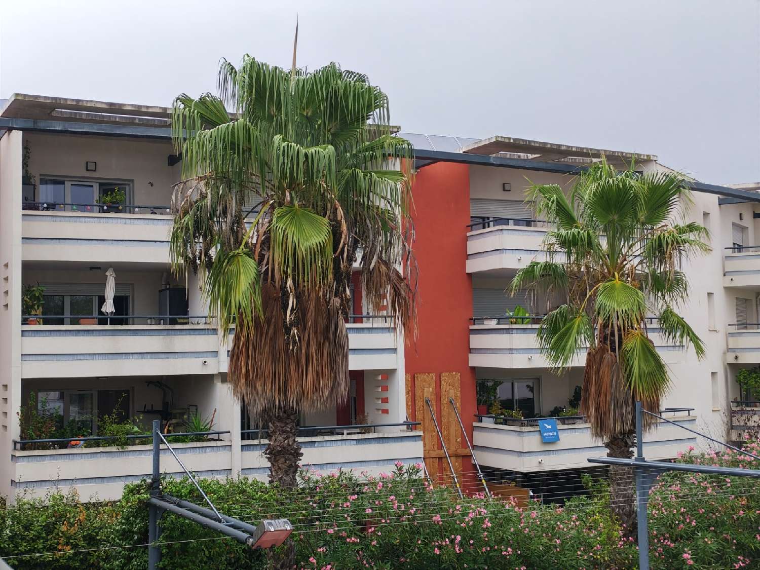  for sale apartment Agde Hérault 3