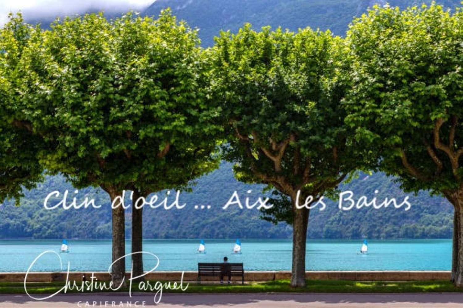kaufen Wohnung/ Apartment Aix-les-Bains Savoie 8