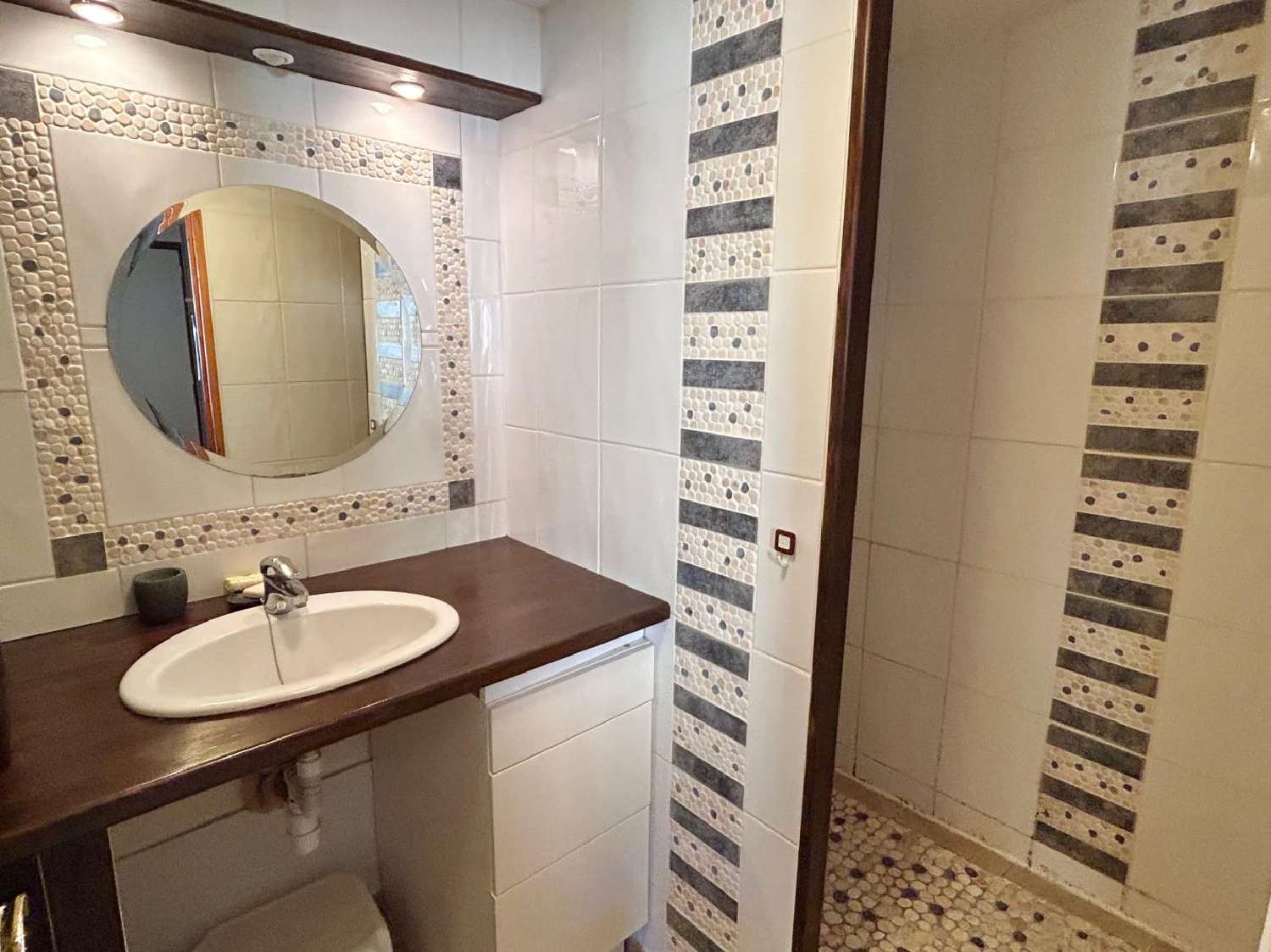 te koop appartement Amélie-les-Bains-Palalda Pyrénées-Orientales 4