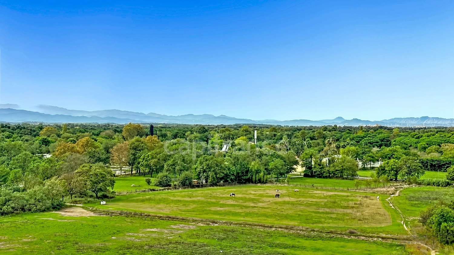 en venta apartamento Argelès-sur-Mer Pirineo Oriental 3