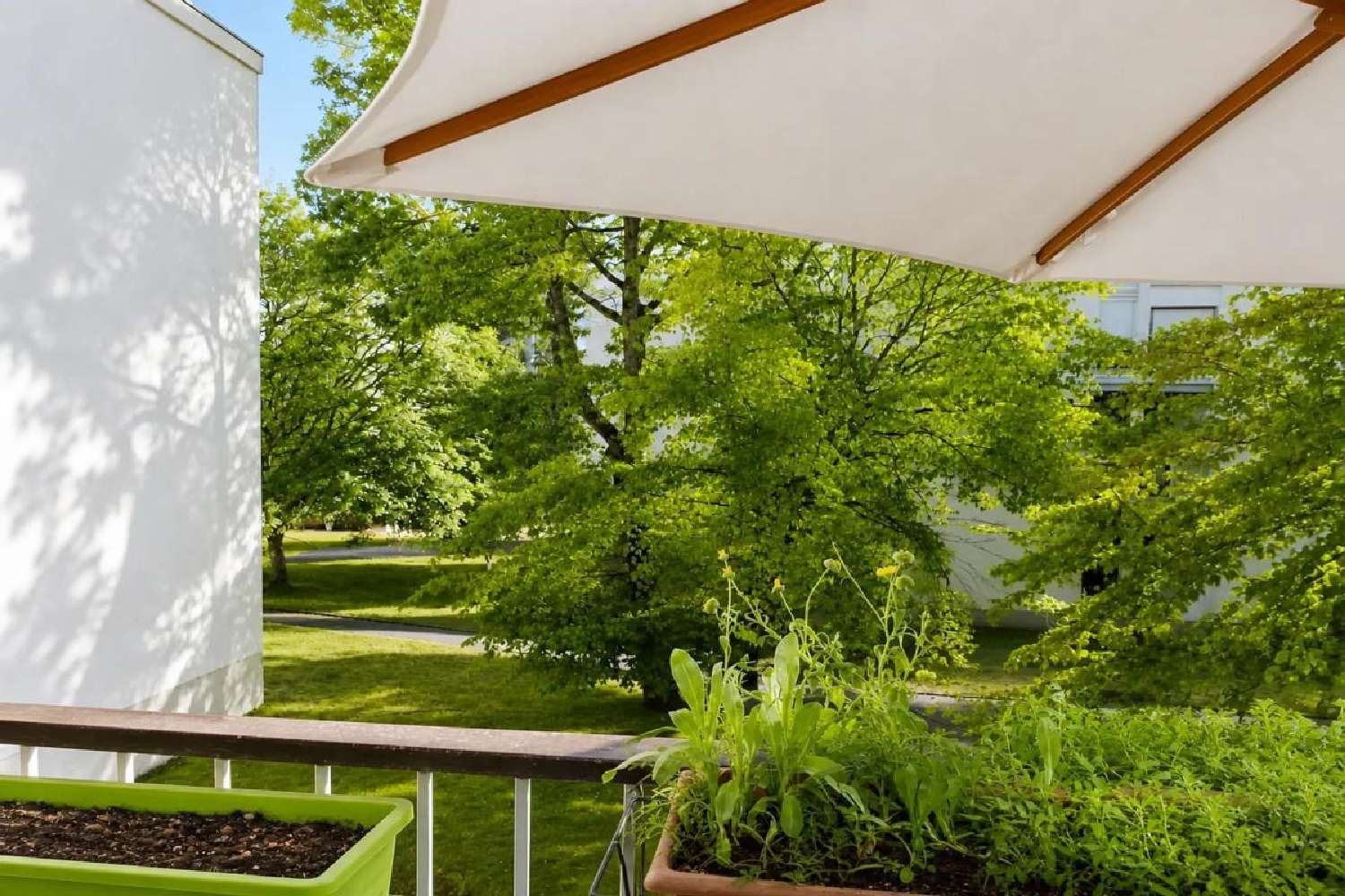 te koop appartement Avon Seine-et-Marne 1