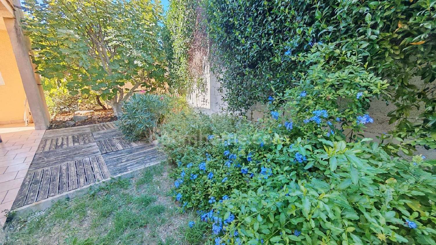 kaufen Wohnung/ Apartment Bouzigues Hérault 7