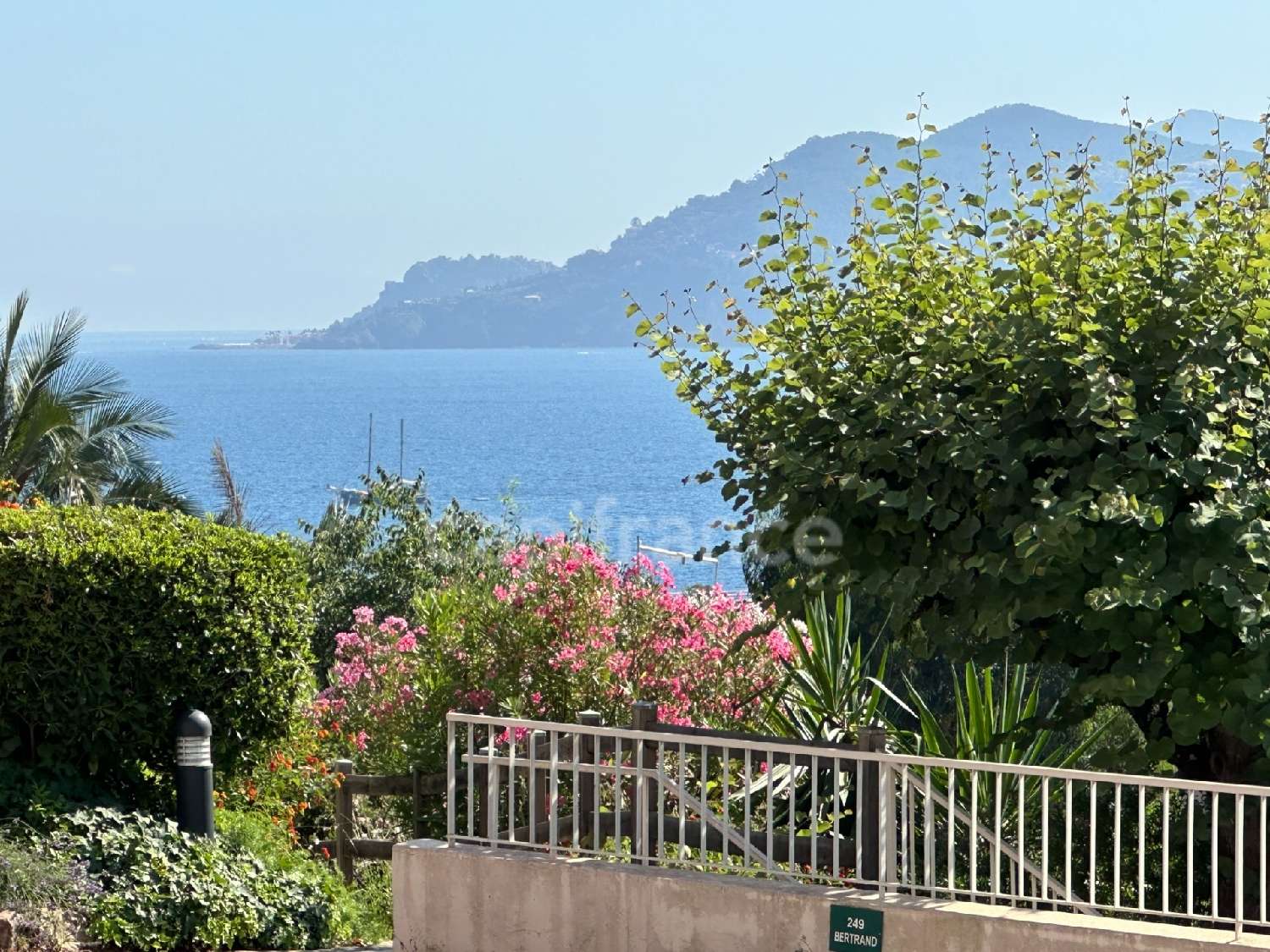 for sale apartment Cannes Alpes-Maritimes 2