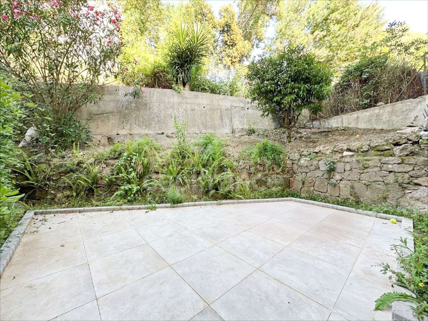 for sale apartment Cannes Alpes-Maritimes 6