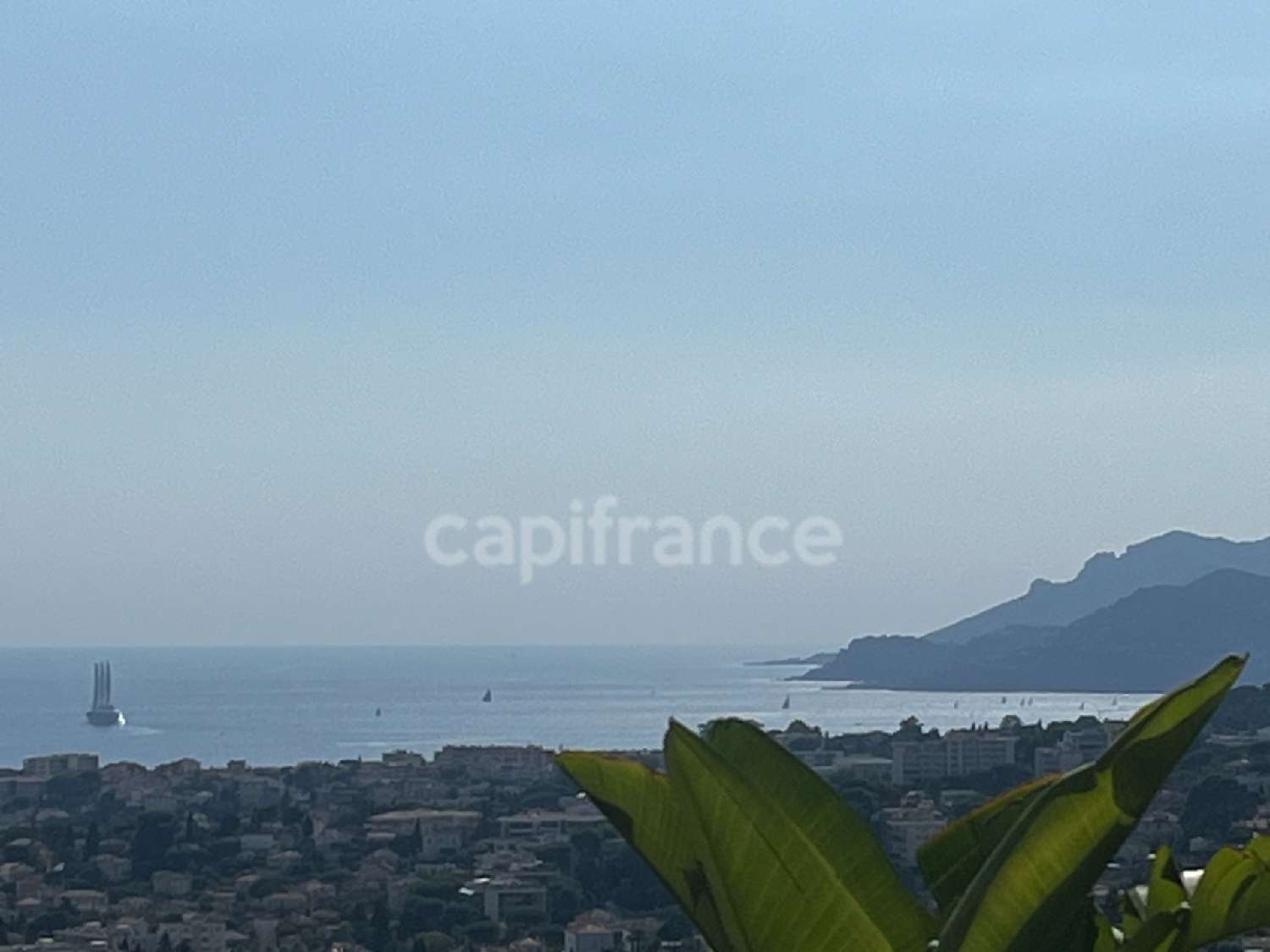 for sale apartment Cannes Alpes-Maritimes 3