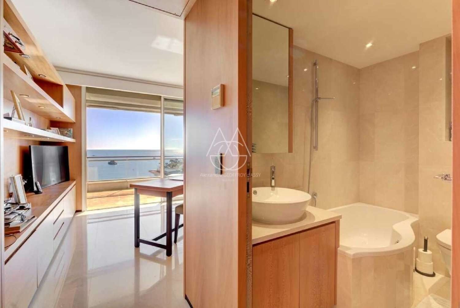  à vendre appartement Cannes Alpes-Maritimes 3