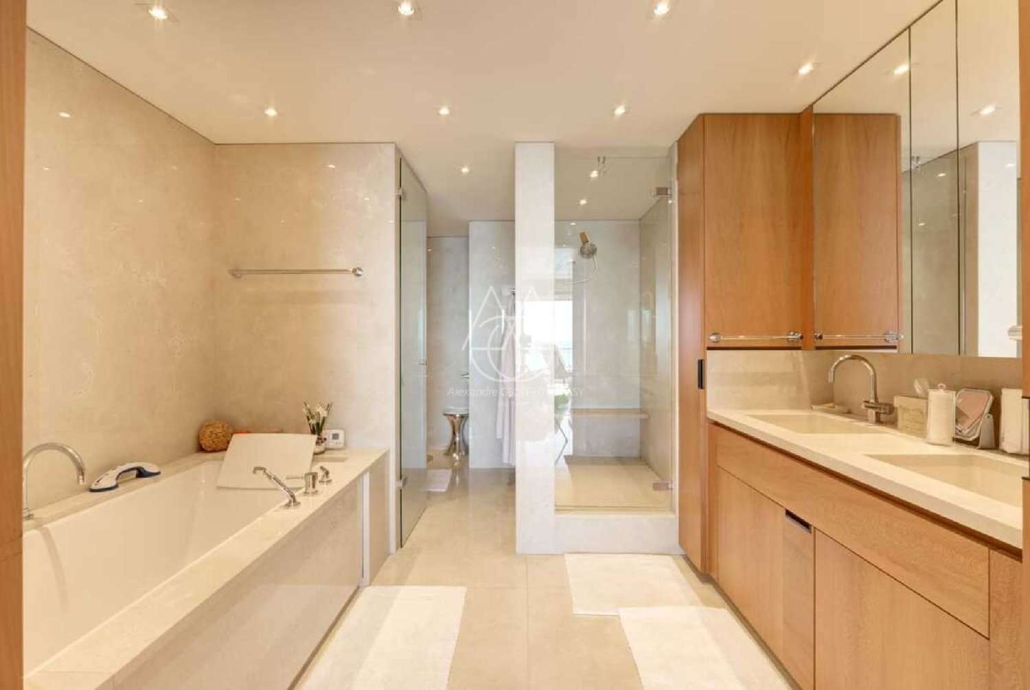  à vendre appartement Cannes Alpes-Maritimes 6