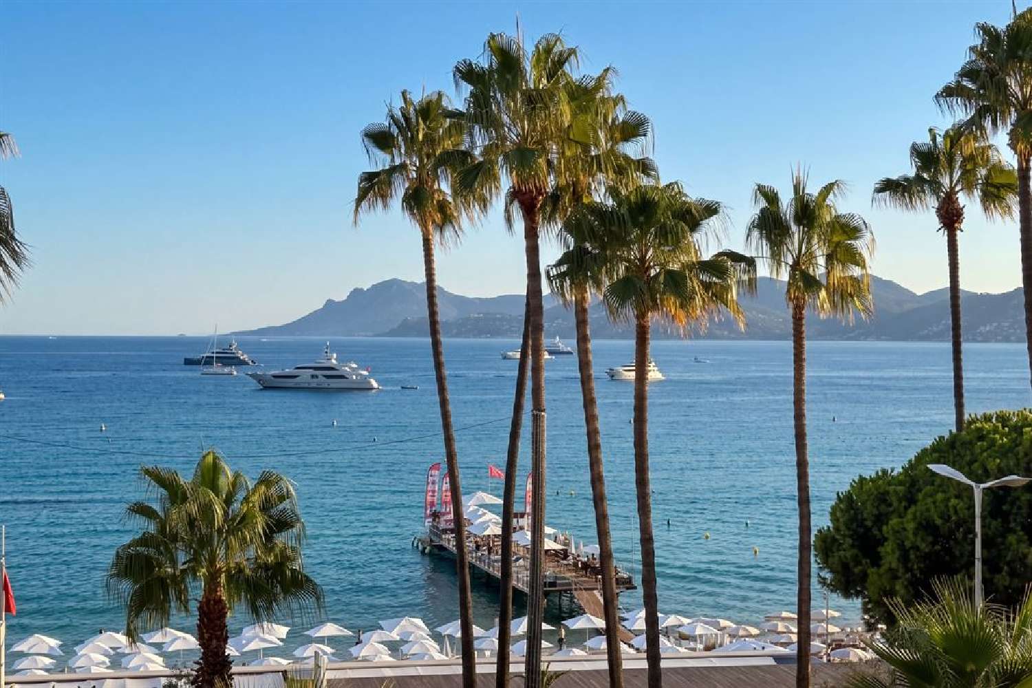 te koop appartement Cannes Alpes-Maritimes 8