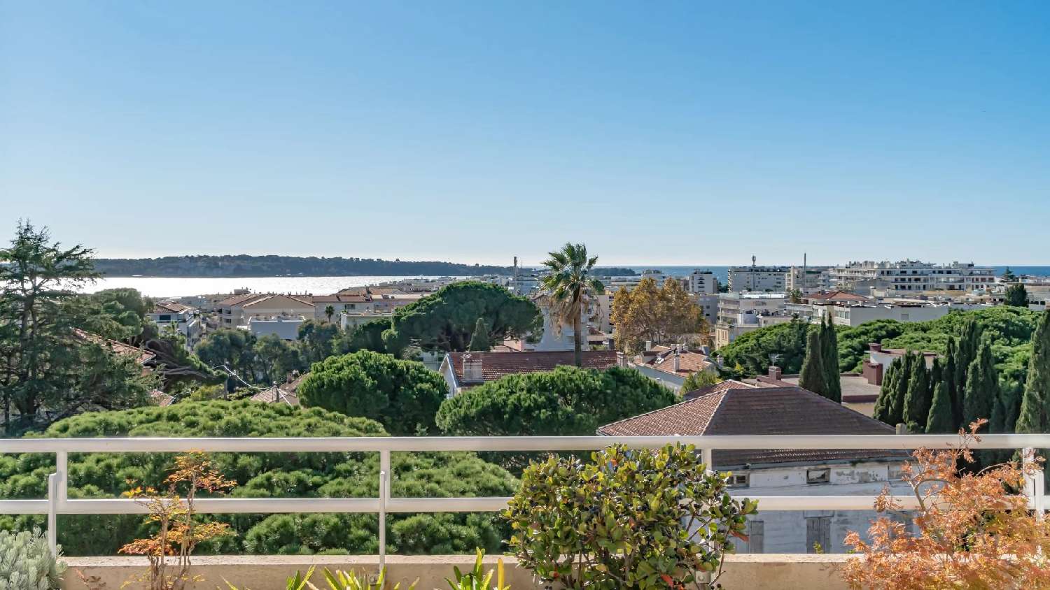 for sale apartment Cannes Alpes-Maritimes 3
