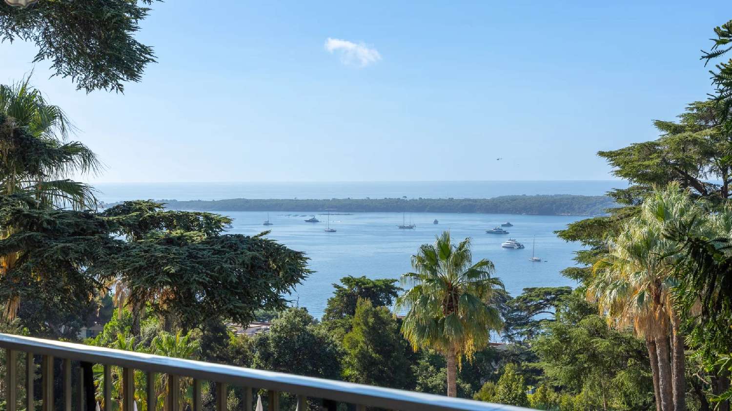 for sale apartment Cannes Alpes-Maritimes 5