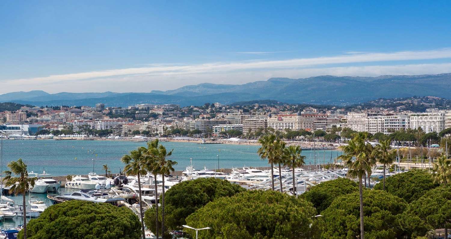 for sale apartment Cannes Alpes-Maritimes 1