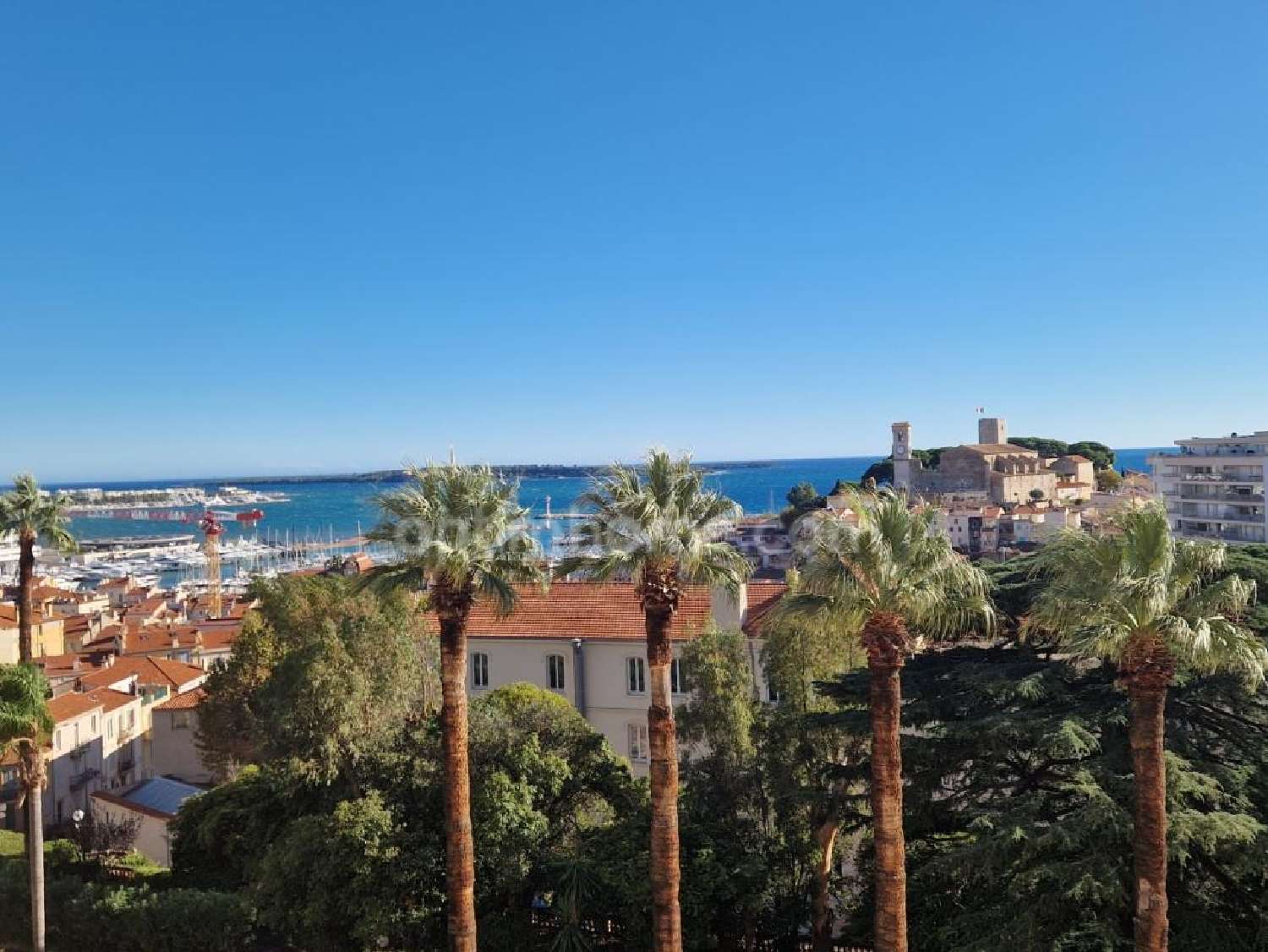 en venta apartamento Cannes Alpes-Maritimes 4
