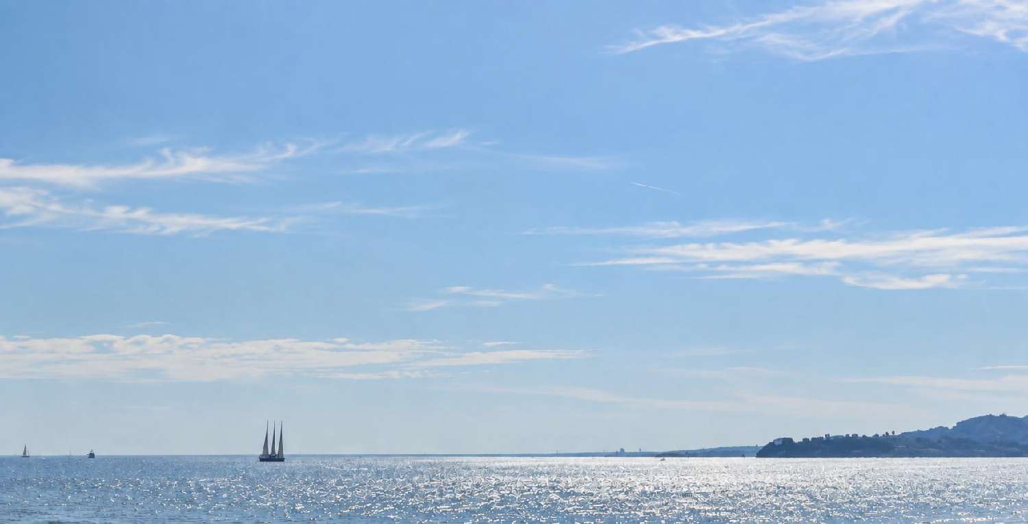  for sale apartment Cannes Alpes-Maritimes 1