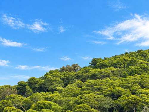 Cannes Alpes-Maritimes apartamento foto 7427432