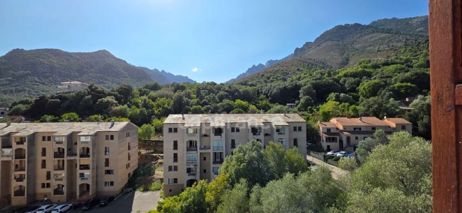 kaufen Wohnung/ Apartment Corte Haute-Corse 5
