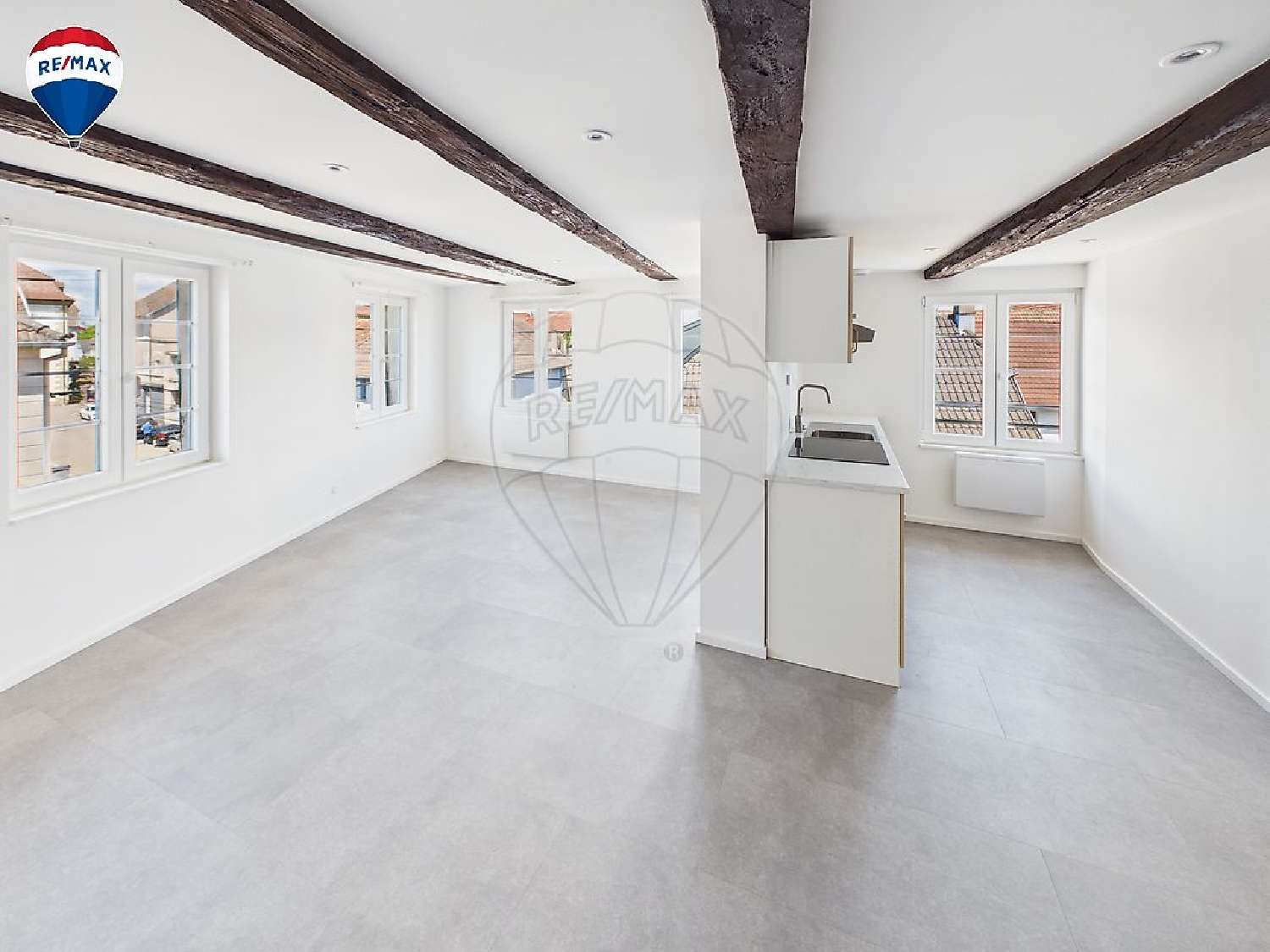 te koop appartement Dannemarie Haut-Rhin 1