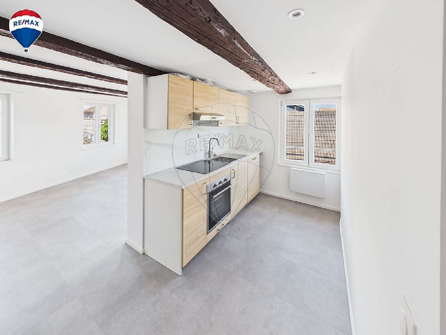 te koop appartement Dannemarie Haut-Rhin 4