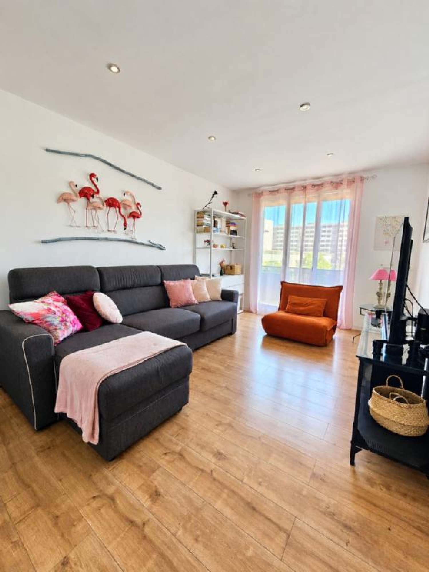 te koop appartement Échirolles Isère 1