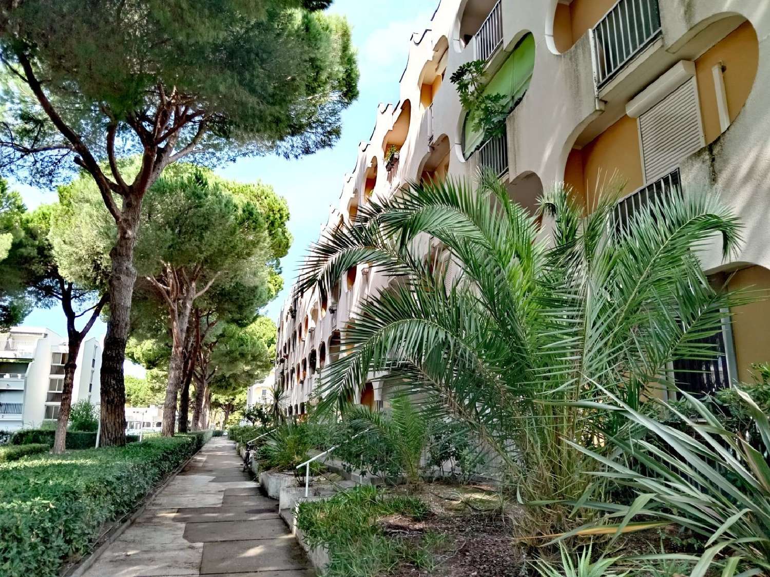 for sale apartment La Grande Motte Hérault 1
