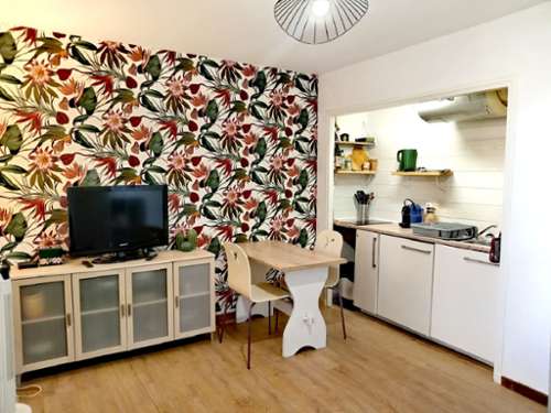 La Grande Motte Hérault Wohnung/ Apartment Bild 7434104