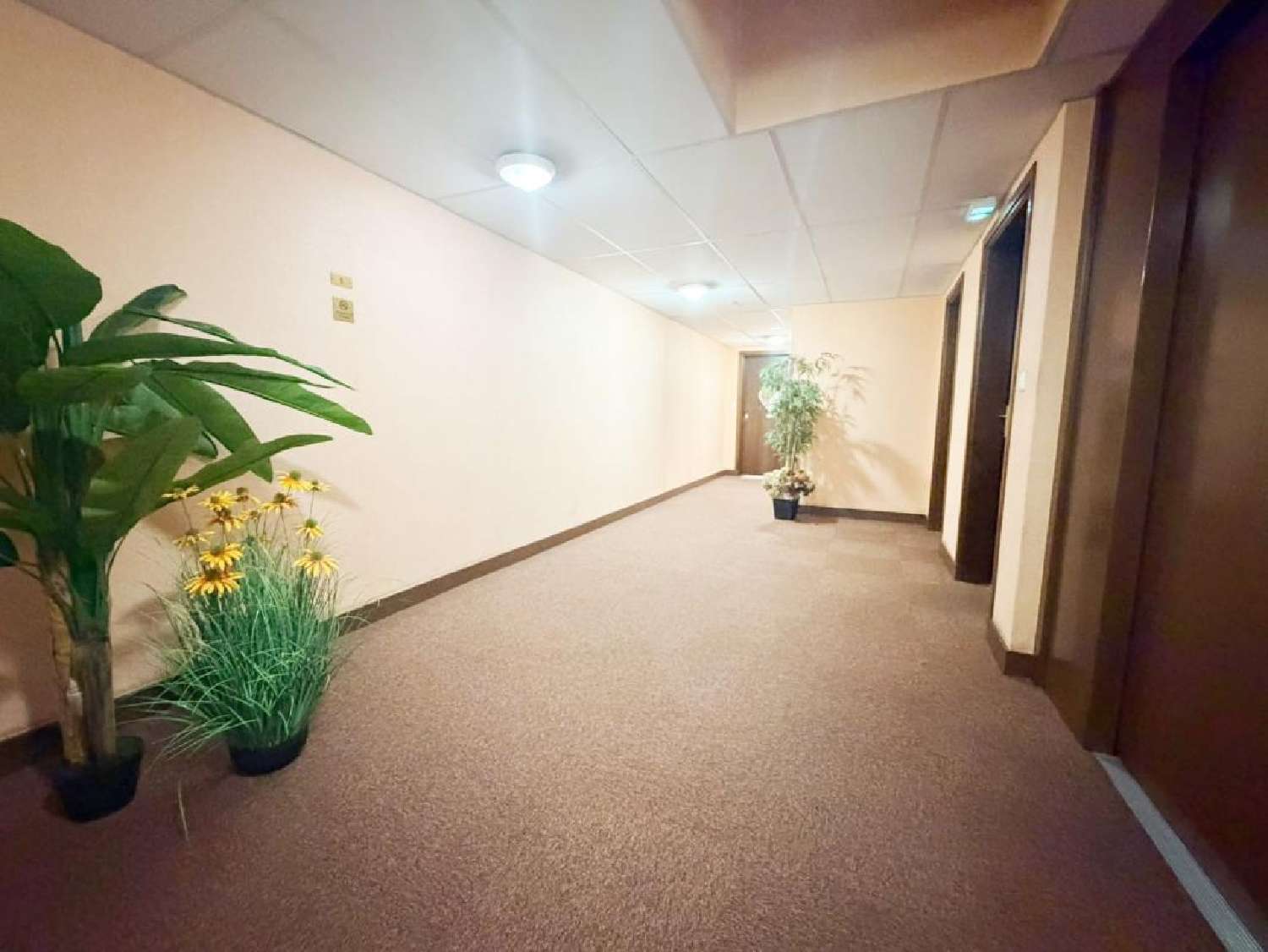 kaufen Wohnung/ Apartment Le Mans Sarthe 7