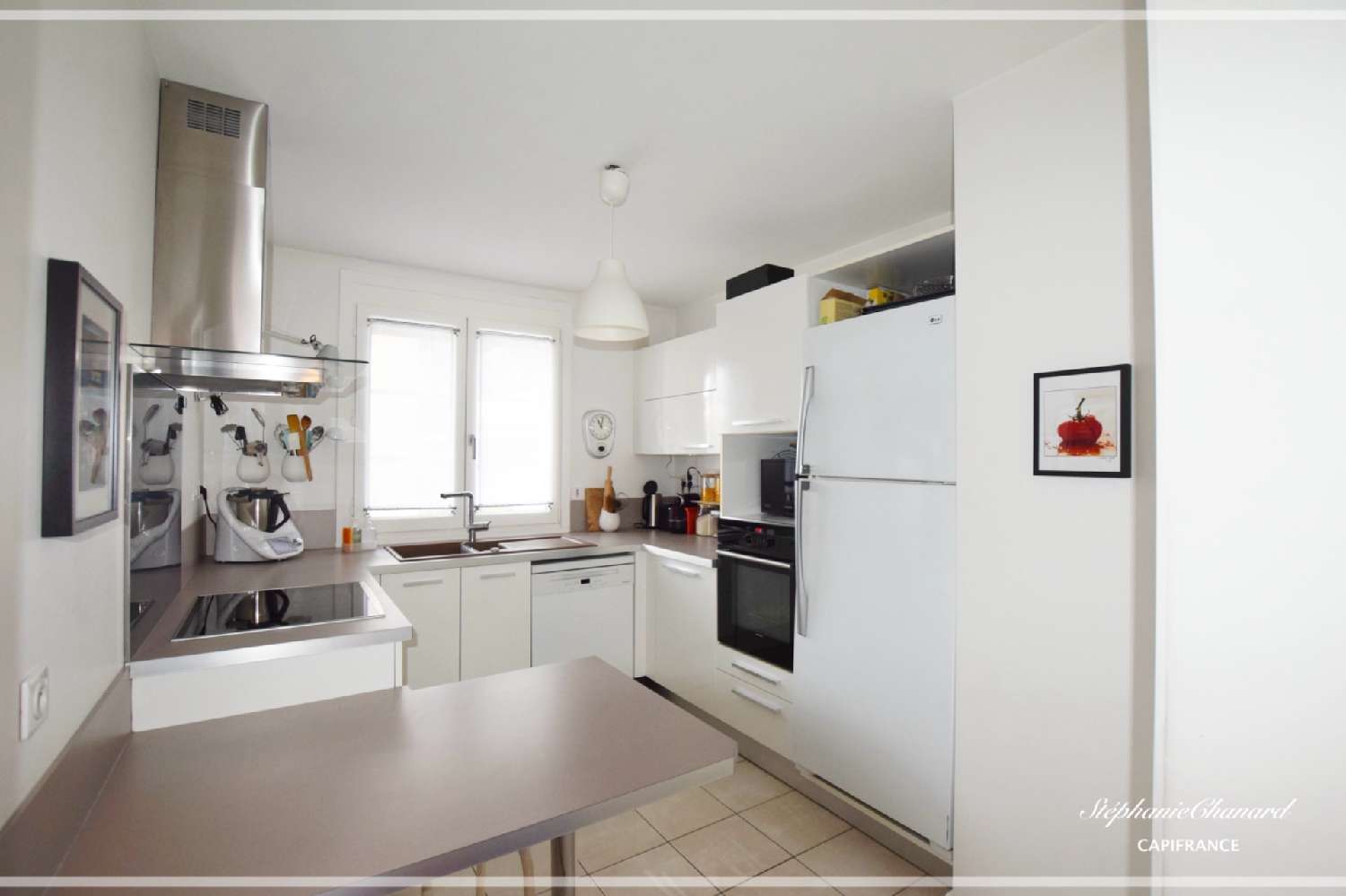 te koop appartement Lyon 7e Arrondissement Rhône 3