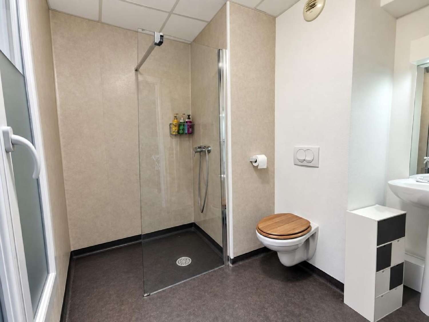 te koop appartement Lyon 9e Arrondissement Rhône 6