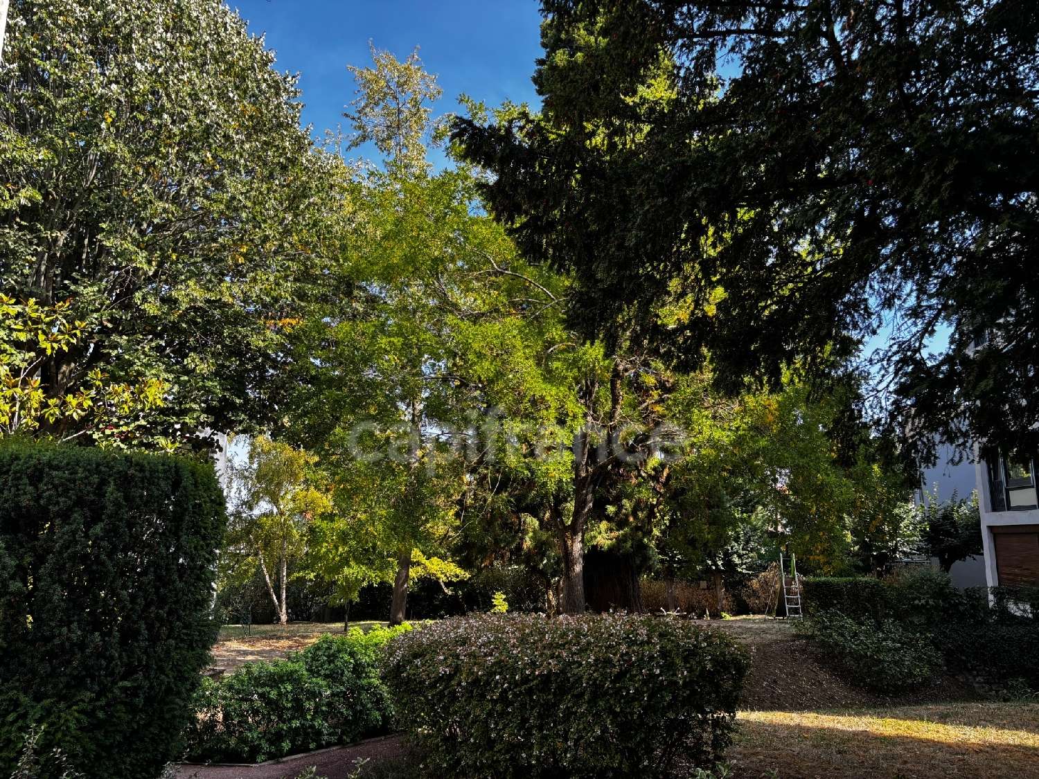 te koop appartement Meudon Hauts-de-Seine 4