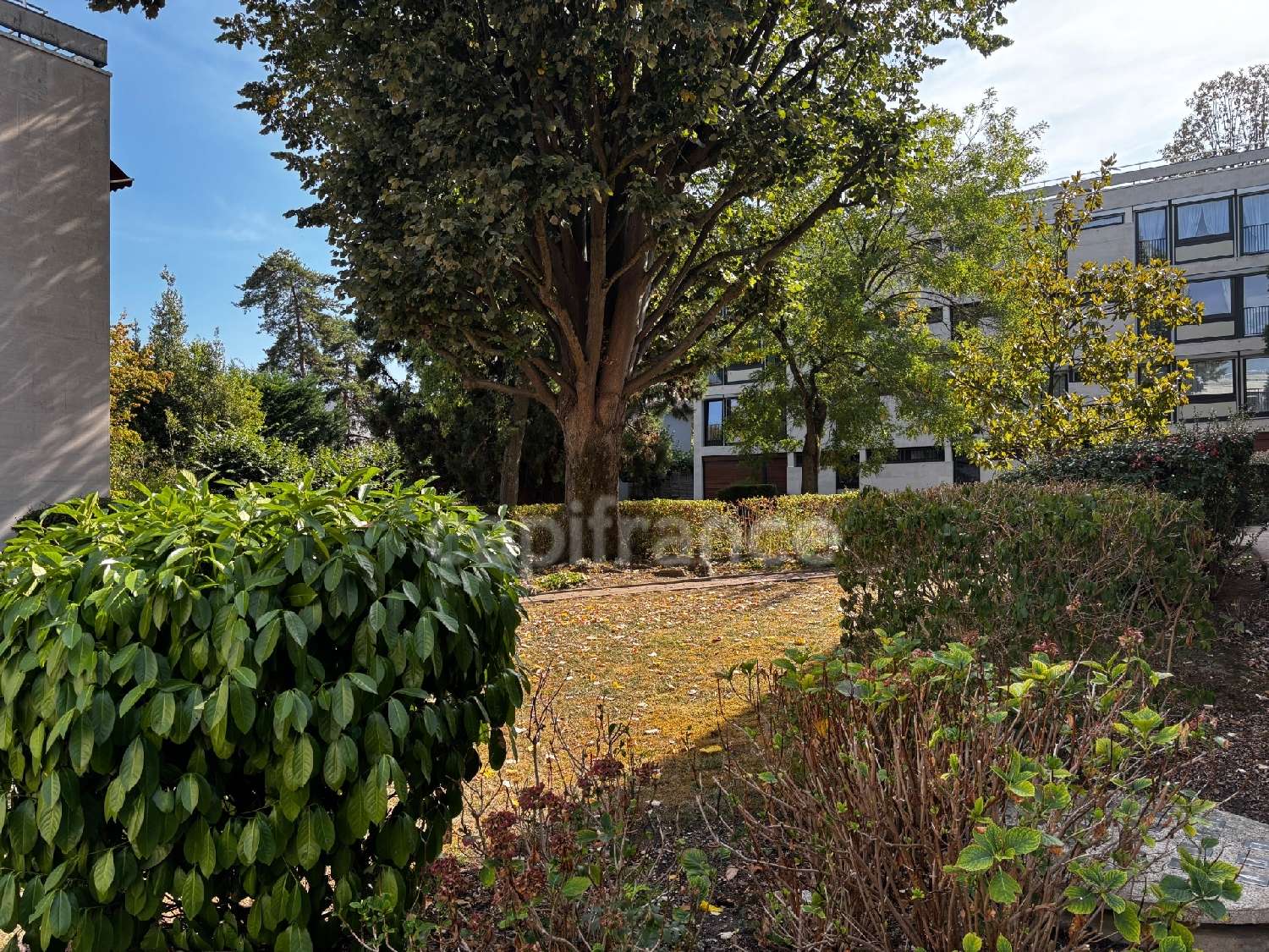 te koop appartement Meudon Hauts-de-Seine 8