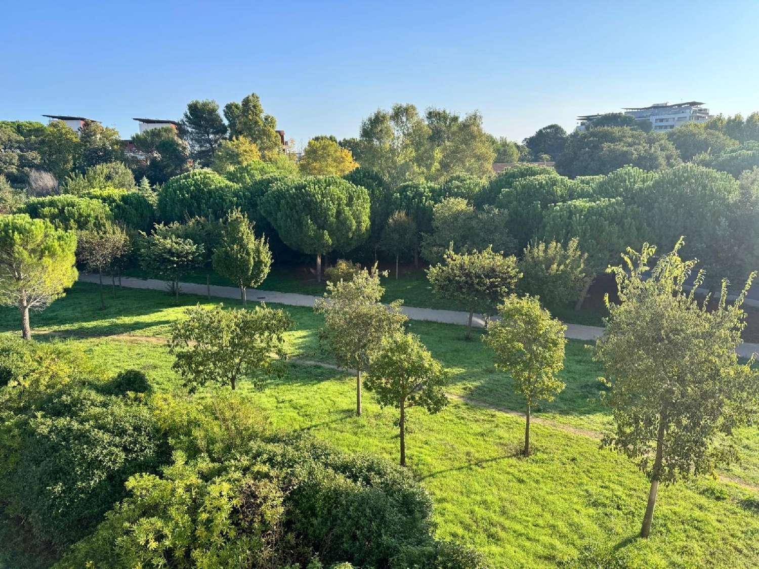 kaufen Wohnung/ Apartment Montpellier Hérault 2