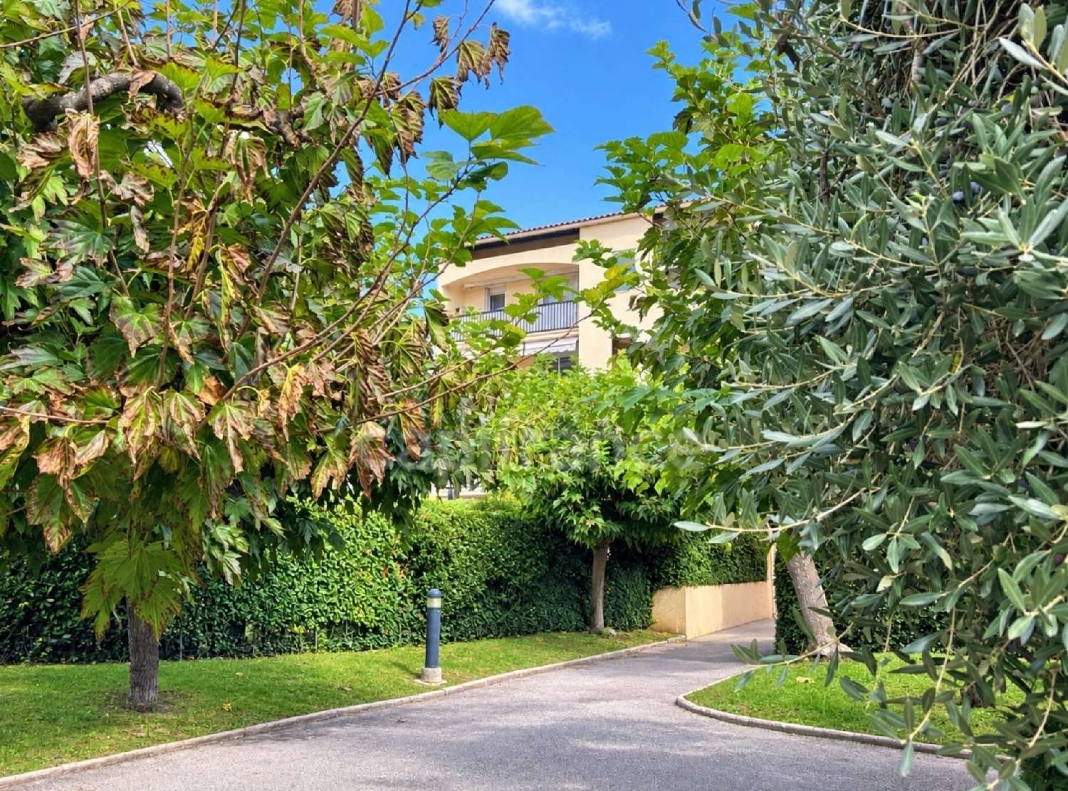  for sale apartment Mouans-Sartoux Alpes-Maritimes 1