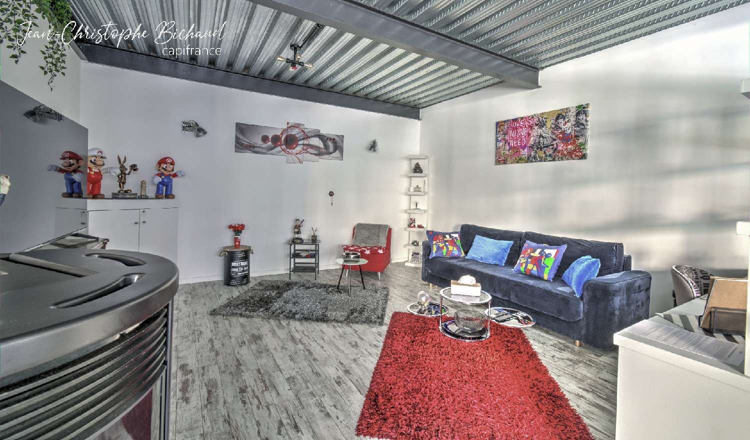  te koop appartement Oullins Rhône 8