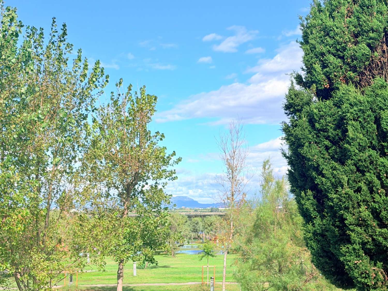en venta apartamento Palavas-les-Flots Hérault 1