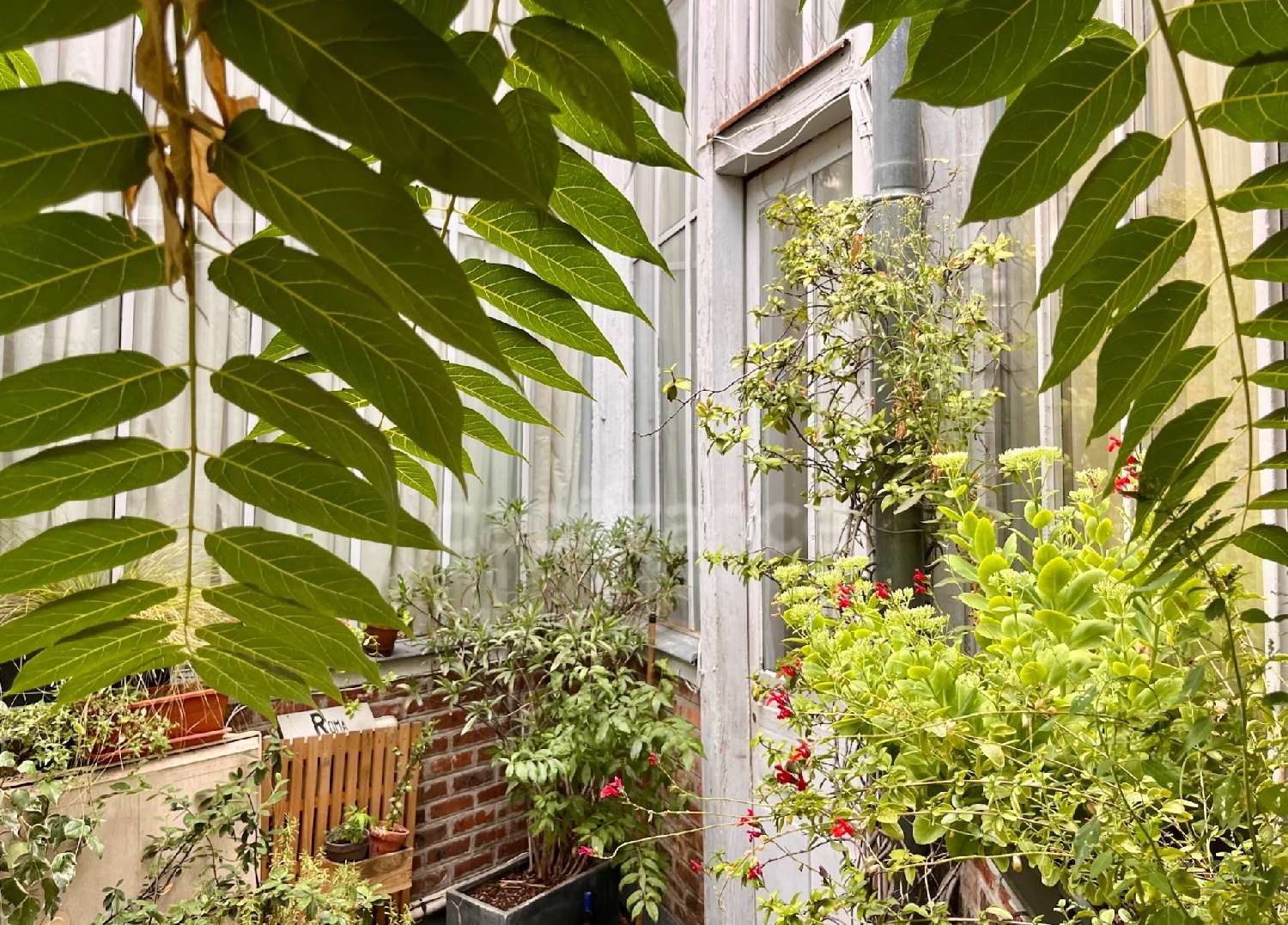  kaufen Wohnung/ Apartment Paris 14e Arrondissement Paris (Seine) 2