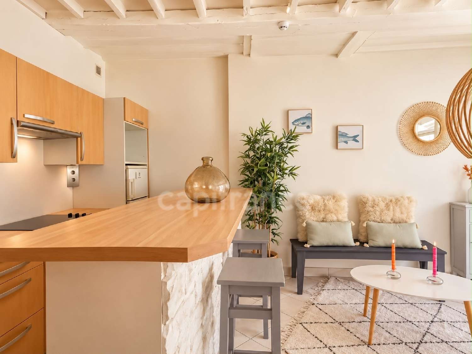  à vendre appartement Paris 15e Arrondissement Paris (Seine) 3